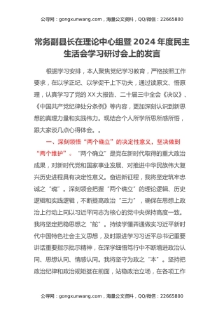 常务副县长在理论中心组暨2024年度民主生活会学习研讨会上的发言