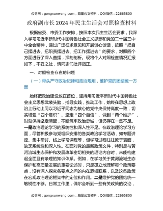 政府副市长2024年民主生活会对照检查材料