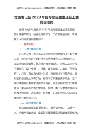 党委书记在2023年度专题民主生活会上的发言提纲