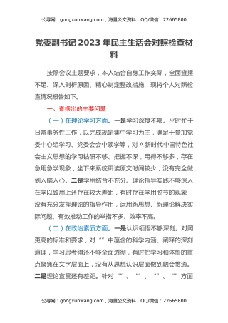党委副书记2023年民主生活会对照检查材料
