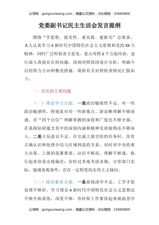 党委副书记民主生活会发言提纲