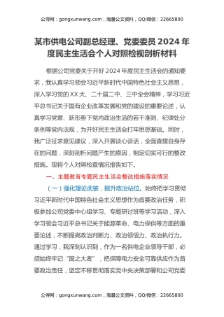某市供电公司副总经理、党委委员2024年度民主生活会个人对照检视剖析材料（主题教育整改措施落实情况+四个带头+典型案例举一反三进行剖析）