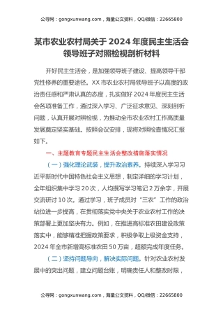 某市农业农村局关于2024年度民主生活会领导班子对照检视剖析材料