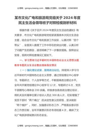某市文化广电和旅游局党组关于2024年度民主生活会领导班子对照检视剖析材料