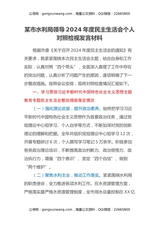 某市水利局领导2024年度民主生活会个人对照检视发言材料
