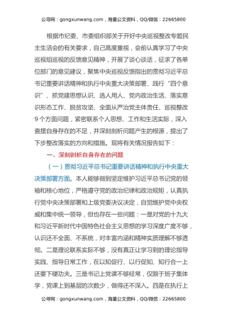 党工委书记中央巡视整改专题民主生活会个人对照检查材料