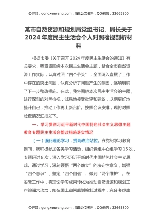 某市自然资源和规划局党组书记、局长关于2024年度民主生活会个人对照检视剖析材料