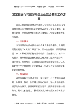 某某县文化和旅游局民主生活会整改工作方案