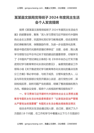 某某县文旅局党导班子2024年度民主生活会个人发言提纲（“以案促改促治严管理从严管党治党强震慑”整改措施落实情况+四个带头+典型案例）