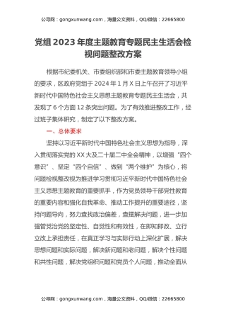 党组2023年度主题教育专题民主生活会检视问题整改方案