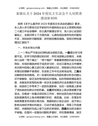 某镇长关于2024年度民主生活会个人对照查摆剖析材料