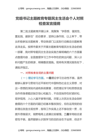 党组书记主题教育专题民主生活会个人对照检查发言提纲