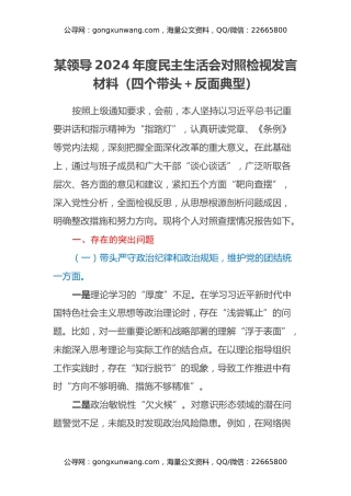 某领导2024年度民主生活会对照检视发言材料