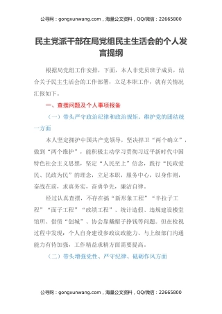 民主党派干部在局党组民主生活会的个人发言提纲