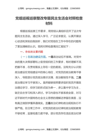 党组巡视巡察整改专题民主生活会对照检查材料