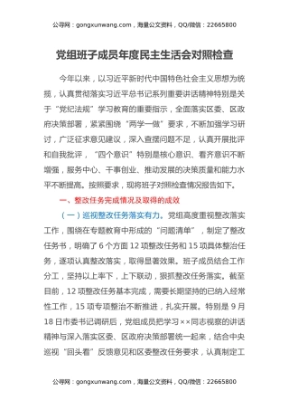 党组班子成员年度民主生活会对照检查