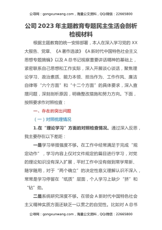 公司2023年主题教育专题民主生活会剖析检视材料