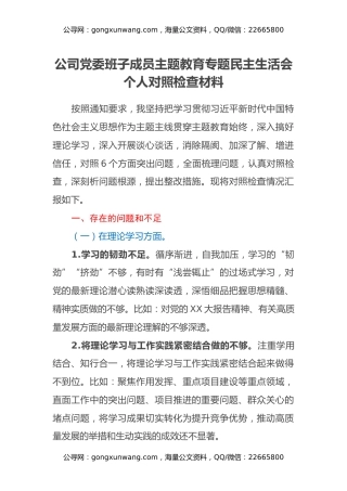 公司党委班子成员主题教育专题民主生活会个人对照检查材料