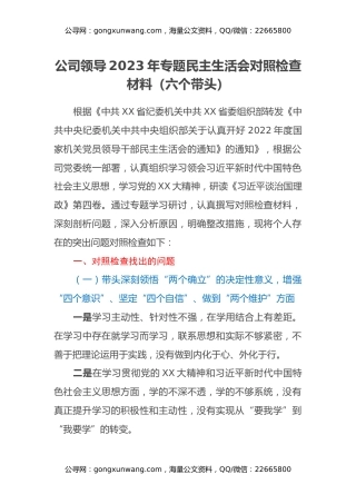 公司领导2023年专题民主生活会对照检查材料（六个带头）