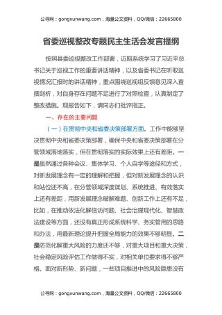 省委巡视整改专题民主生活会发言提纲