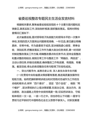 省委巡视整改专题民主生活会发言材料