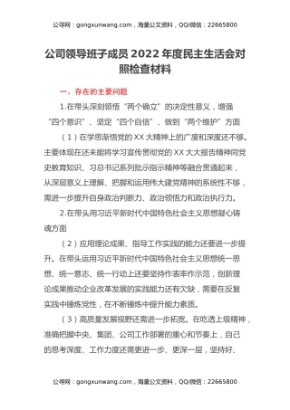公司领导班子成员2022年度民主生活会对照检查材料