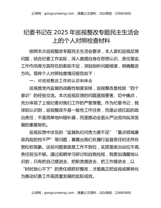 纪委书记在2025年巡视整改专题民主生活会上的个人对照检查材料