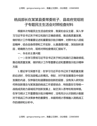 统战部长在某某县委常委班子、县政府党组班子专题民主生活会对照检查材料