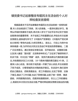 镇党委书记巡察整改专题民主生活会的个人对照检查发言提纲