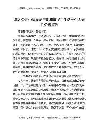 集团公司中层党员干部年度民主生活会个人党性分析报告