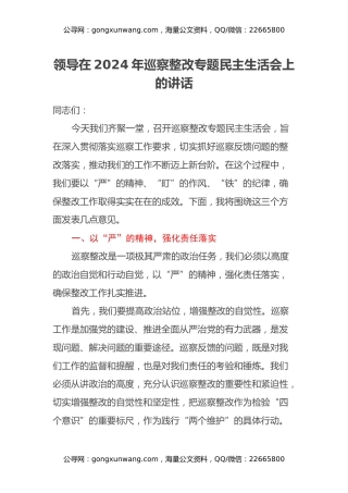 领导在2024年巡察整改专题民主生活会上的讲话 (2)