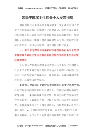 领导干部民主生活会个人发言提纲