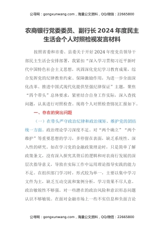 农商银行党委委员、副行长2024年度民主生活会个人对照检视发言材料（四个带头+典型案例剖析）