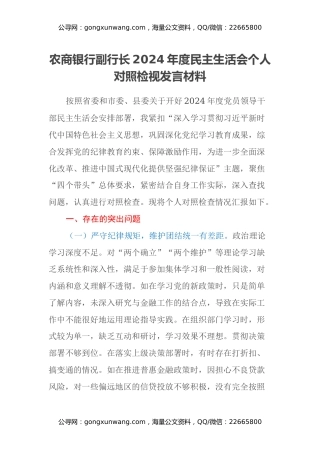 农商银行副行长2024年度民主生活会个人对照检视发言材料（四个带头+典型案例剖析）