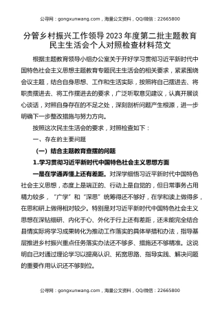 分管乡村振兴工作领导2023年度第二批主题教育民主生活会个人对照检查材料（典型案例，六个方面，自觉坚定，思想，维护权威领导，践行宗旨，全面从严责任等，发言提纲，检视剖析）