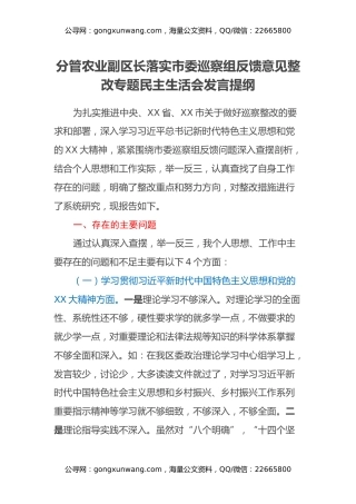 分管农业副区长落实市委巡察组反馈意见整改专题民主生活会发言提纲