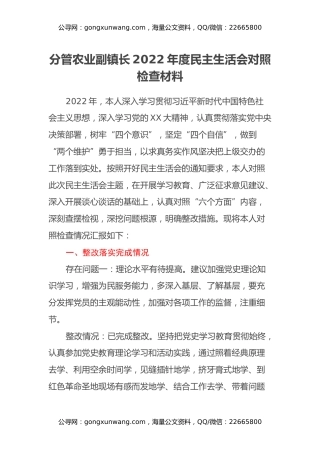 分管农业副镇长2022年度民主生活会对照检查材料