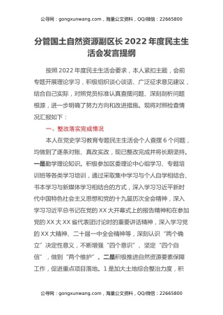 分管国土自然资源副区长2022年度民主生活会发言提纲
