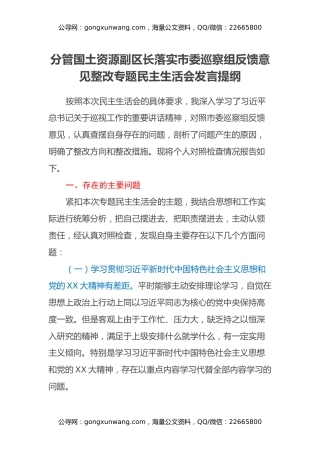 分管国土资源副区长落实市委巡察组反馈意见整改专题民主生活会发言提纲