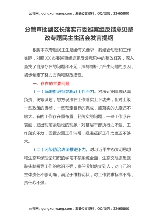 分管审批副区长落实市委巡察组反馈意见整改专题民主生活会发言提纲