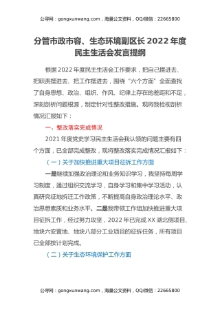 分管市政市容、生态环境副区长2022年度民主生活会发言提纲