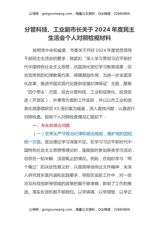 分管科技、工业副市长关于2024年度民主生活会个人对照检视材料（四个带头+典型案例剖析）