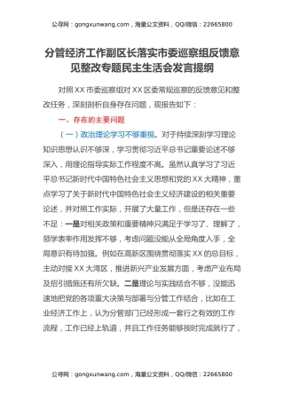 分管经济工作副区长落实市委巡察组反馈意见整改专题民主生活会发言提纲