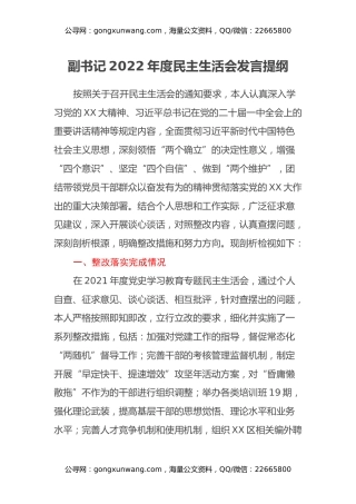 副书记2022年度民主生活会发言提纲