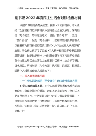 副书记2022年度民主生活会对照检查材料