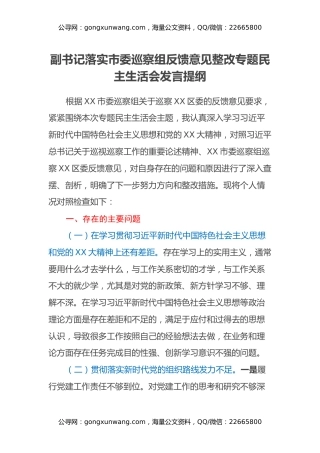 副书记落实市委巡察组反馈意见整改专题民主生活会发言提纲