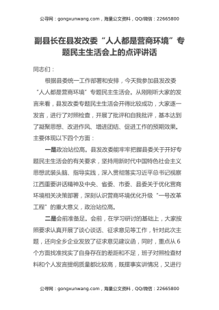 副县长在县发改委“人人都是营商环境”专题民主生活会上的点评讲话