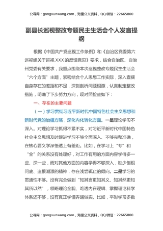 副县长巡视整改专题民主生活会个人发言提纲