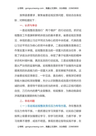 副县长巡视整改专题民主生活会对照检查发言
