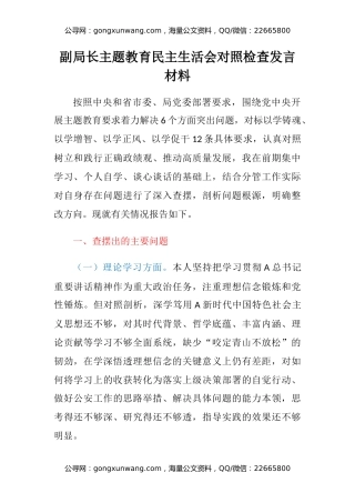 副局长主题教育民主生活会对照检查发言材料
